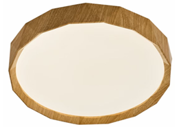 450mm Dual-Color Iron & Plastic Ceiling Light