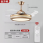 Modern Minimalist Iron Dual-Color Ceiling Fan Light