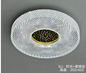 500mm Dual-Color Iron & Plastic Ceiling Light