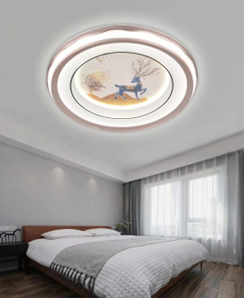 500mm Dual-Color Acrylic Ceiling Light